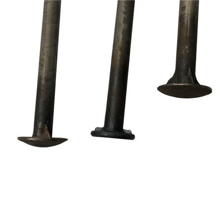 DIN603 Nerezová ocel 316 A4-70 Metrická houba, kulatá hlava, čtyřhranné přepravní šrouby M5 M6 M8 M10 M12 M16 M20